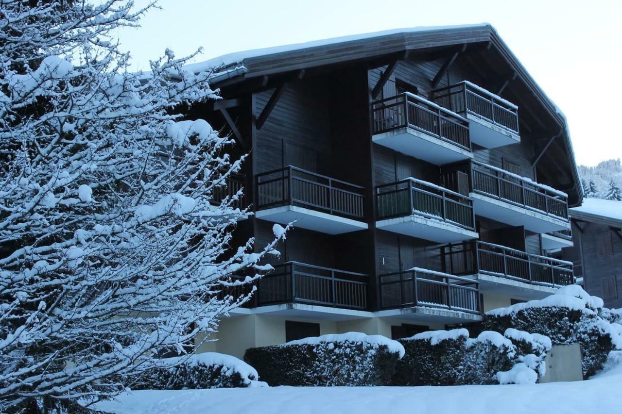 Chalet Des Pistes 梅杰夫 外观 照片