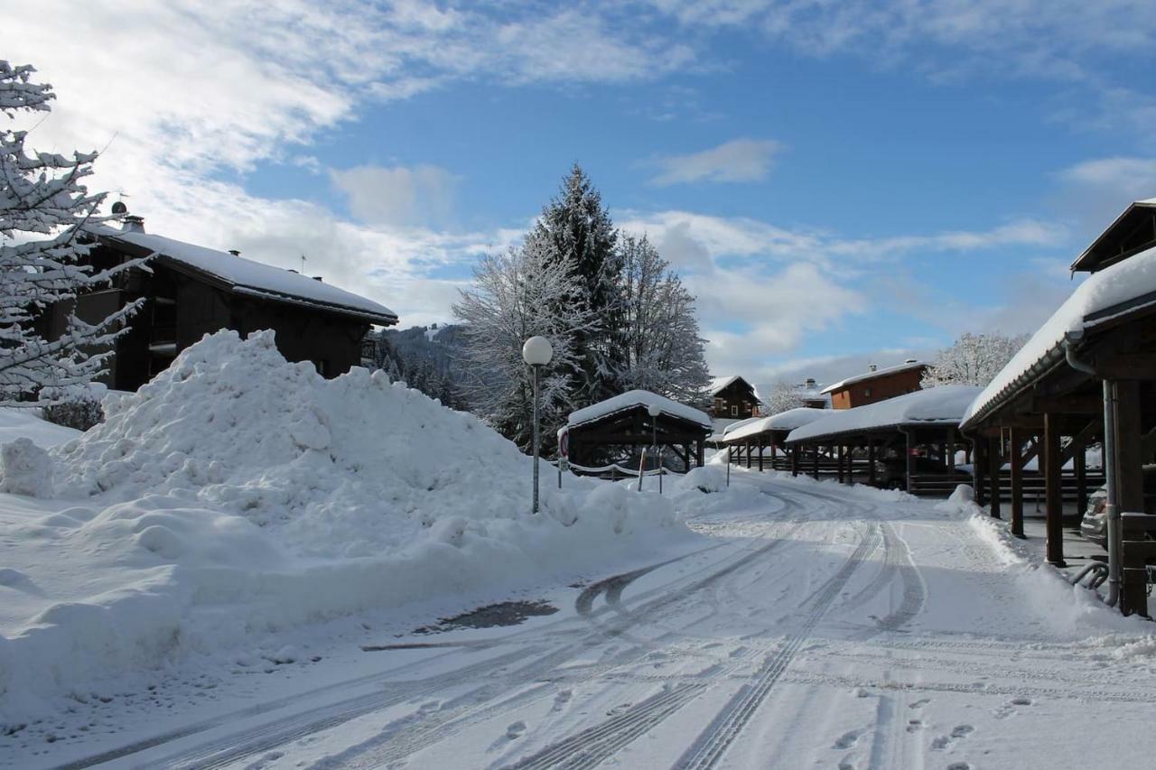 Chalet Des Pistes 梅杰夫 外观 照片